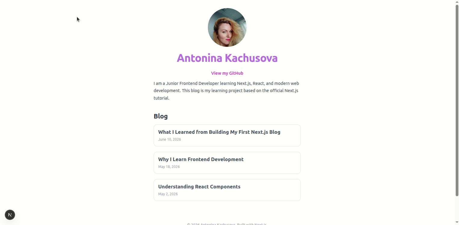 Next.js Markdown Blog demo